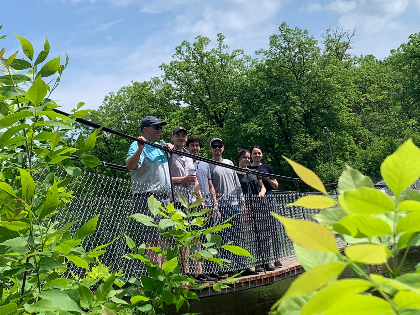 swinging bridge